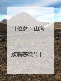 拉萨：山沟欢腾赛牦牛